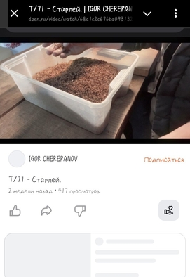 Фото статьи (отзыва) от автора "Записки про табак" мешки "Дейли"