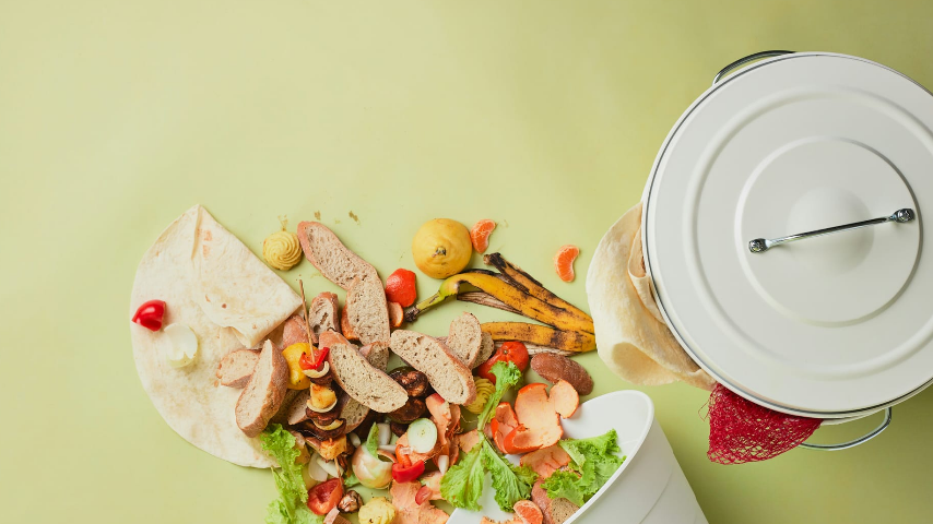 утилизация пищевых отходов