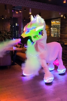 Светящийся костюм Кота ростовая кукла