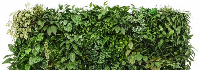 декоративный элемент в интерьере