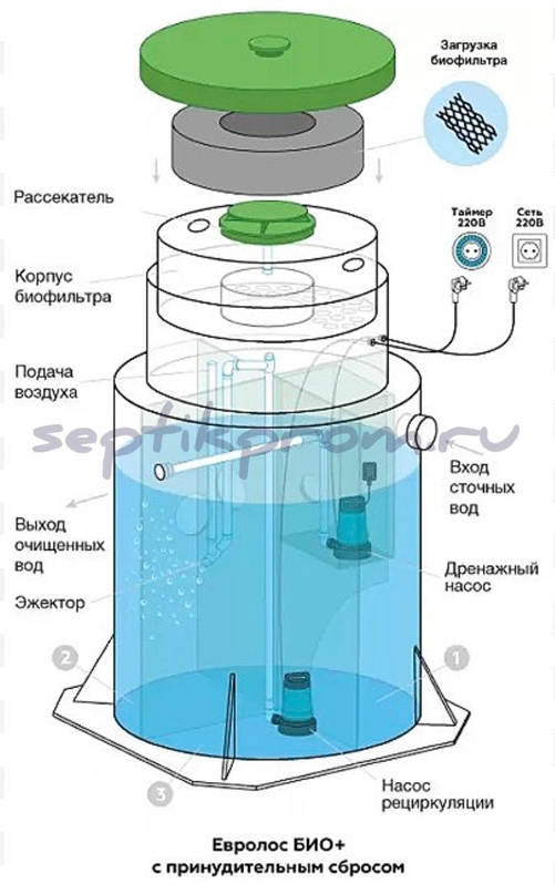 про Евролос Био
