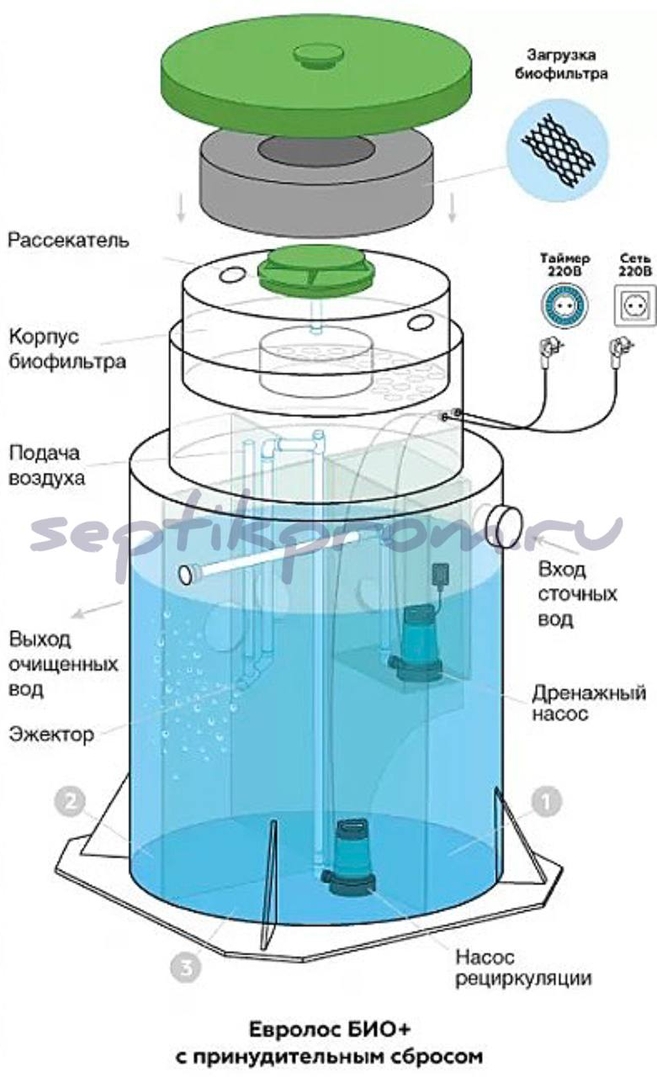 про Евролос Био