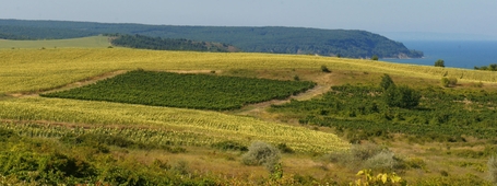 Болгария, Кара Дере