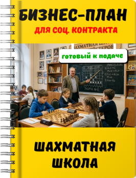 Бизнес-план для социального контракта - Шахматная школа