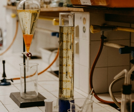 Индуцированные плюрипотентные стволовые клетки (iPS) под микроскопом