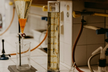 Индуцированные плюрипотентные стволовые клетки (iPS) под микроскопом