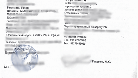 Сео продвижение сайта в поисковых системах Яндекс и Google от Толстель Максима