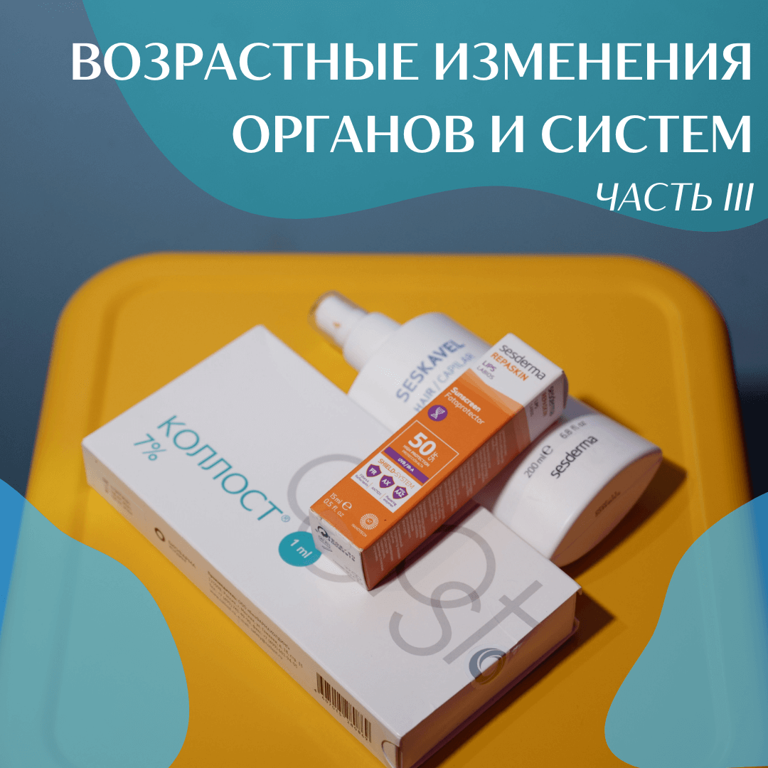 Возрастные изменения органов и систем. Фото из блога доктора Елены Пастернак