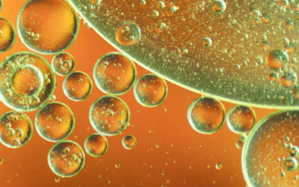 Что это секвестранты желчных кислот