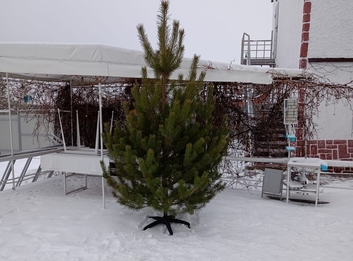 гостевой дом Лысые горы