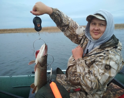 Бизнес без офиса и сотрудников