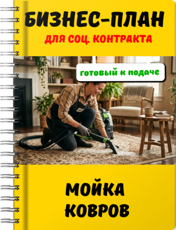 Бизнес-план для социального контракта - Мойка ковров