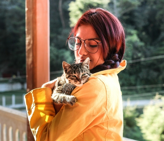 ХПН у питомцев: как Ипакитине облегчает симптомы