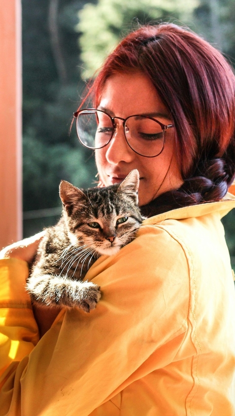 Схема применения Ипакитина для лечения и профилактики