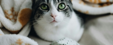 ипакитине 180г купить