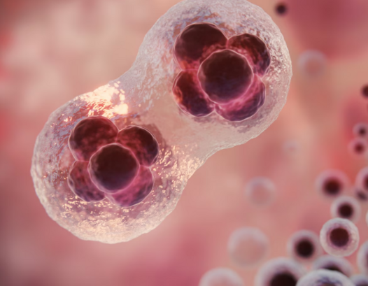 Что происходит при развитии ХБП