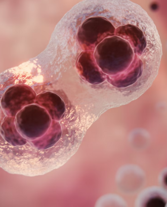 Что происходит при развитии ХБП