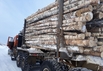 Дрова кругляком 10 кубов с доставкой