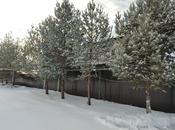 гостевой дом Лысые горы