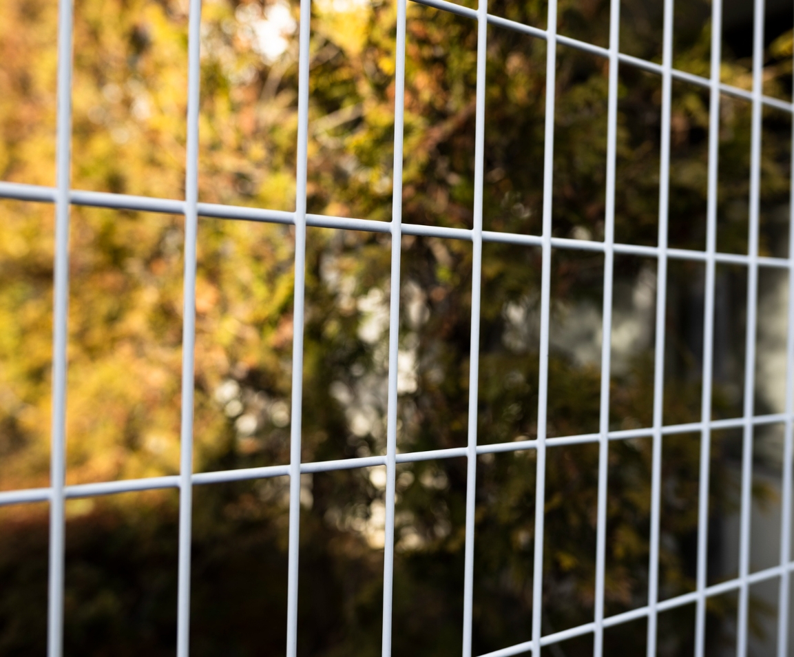 Сетчатый забор экономичный вариант для дачи