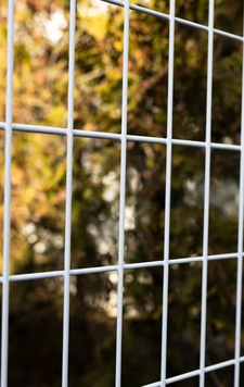 Сетчатый забор экономичный вариант для дачи