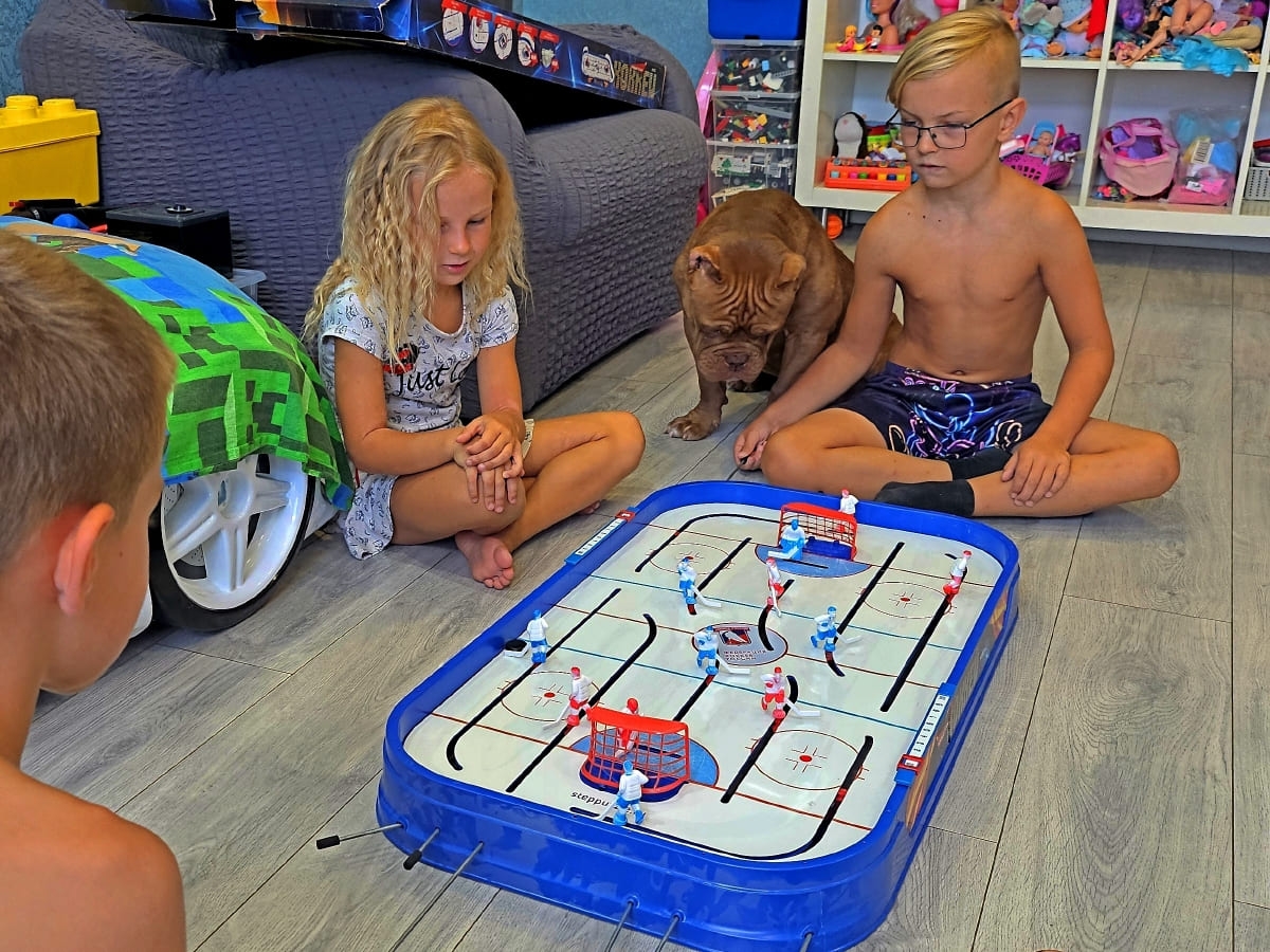 Американский булли с детьми в квартире фото амбулли 6 месяцев