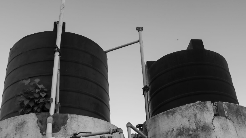 веселый праздник