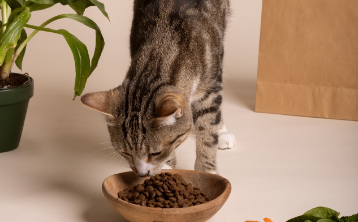 Диета и гидратация