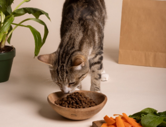 Диета и гидратация