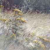 Ольга Абрамова - выставка "Современный русский импрессионизм"