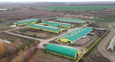 ЗАО "Агрофирма АНК", АНК-ХОЛДИНГ, Агрохолдинг АНК, Благовещенск, Амурская область, Агро-Тур, Цифрово