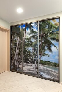 Встроенный шкаф купе двери с фотопечатью