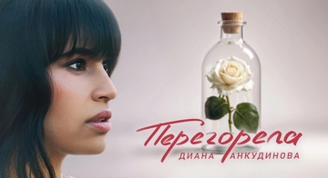 Баннер кейса: портрет Дианы Анкудиновой и бутылка с розой, название «Перегорела»