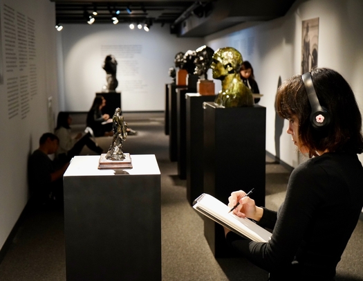 Arucad, Арукад университет искусств