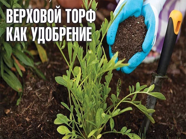 доставка торфа